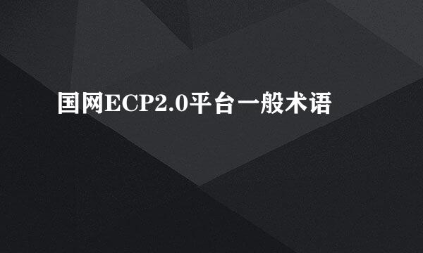 国网ECP2.0平台一般术语