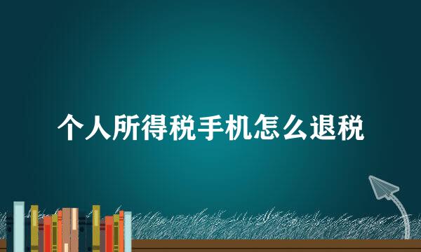 个人所得税手机怎么退税