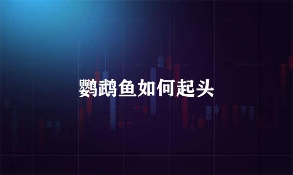 鹦鹉鱼如何起头