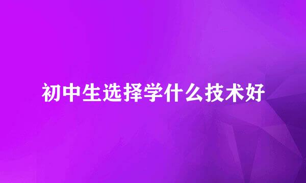 初中生选择学什么技术好