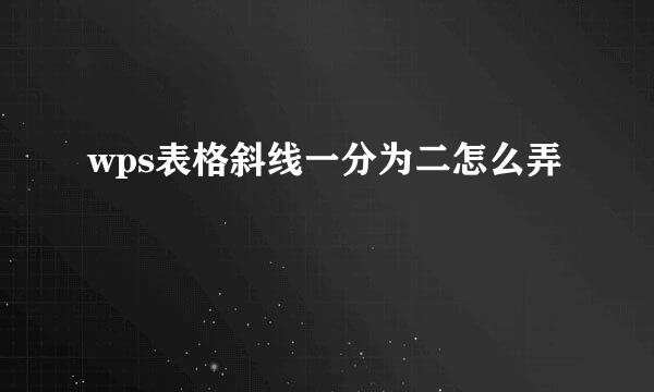 wps表格斜线一分为二怎么弄