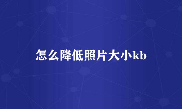 怎么降低照片大小kb