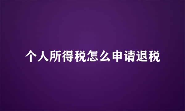 个人所得税怎么申请退税