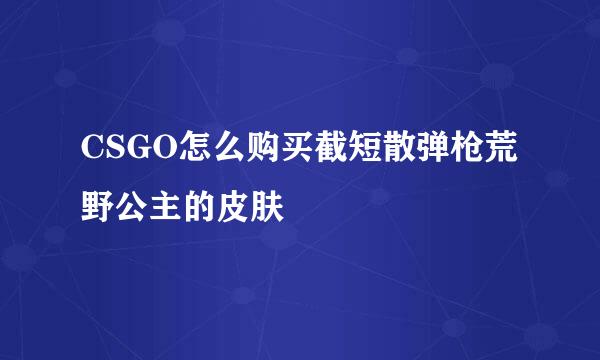 CSGO怎么购买截短散弹枪荒野公主的皮肤