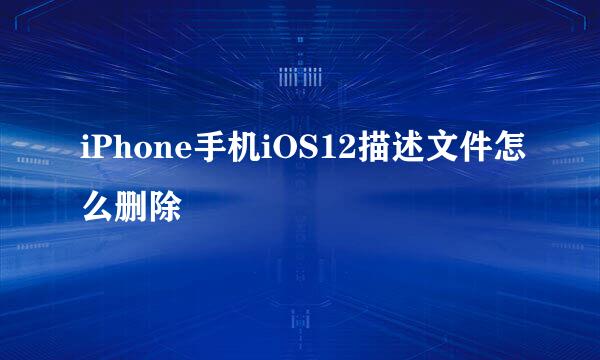 iPhone手机iOS12描述文件怎么删除