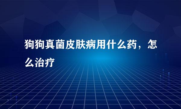 狗狗真菌皮肤病用什么药，怎么治疗
