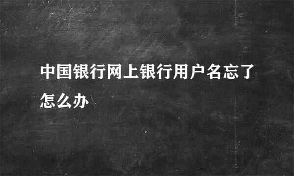 中国银行网上银行用户名忘了怎么办