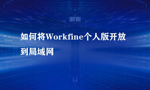 如何将Workfine个人版开放到局域网