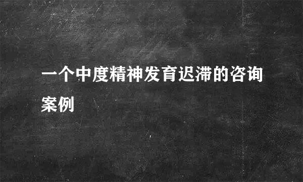 一个中度精神发育迟滞的咨询案例