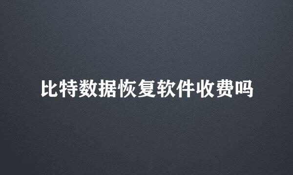 比特数据恢复软件收费吗