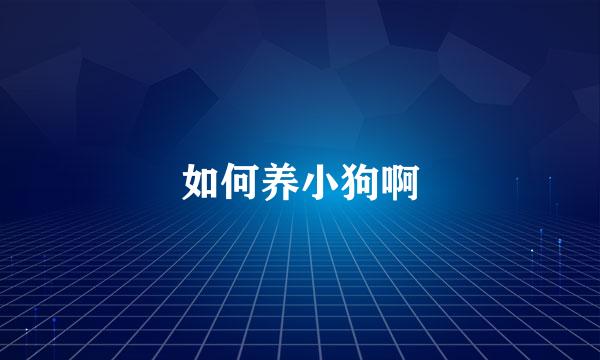 如何养小狗啊