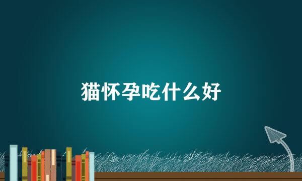 猫怀孕吃什么好