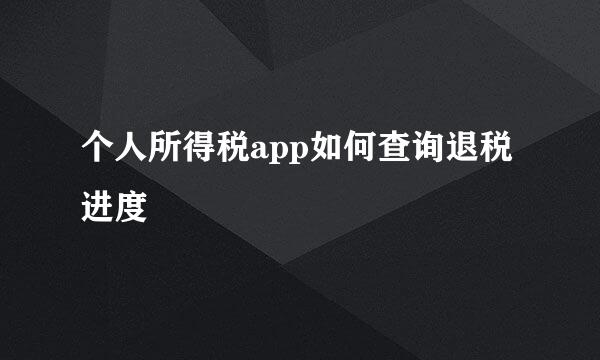 个人所得税app如何查询退税进度