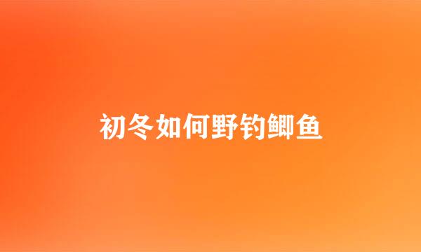 初冬如何野钓鲫鱼