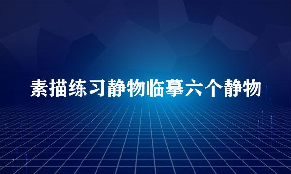 素描练习静物临摹六个静物