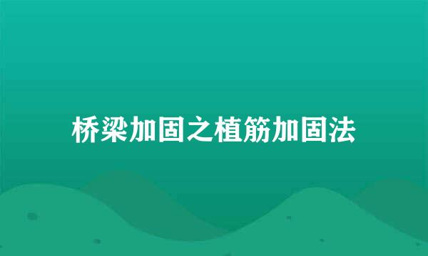 桥梁加固之植筋加固法