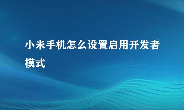 小米手机怎么设置启用开发者模式