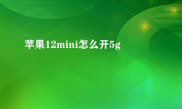 苹果12mini怎么开5g