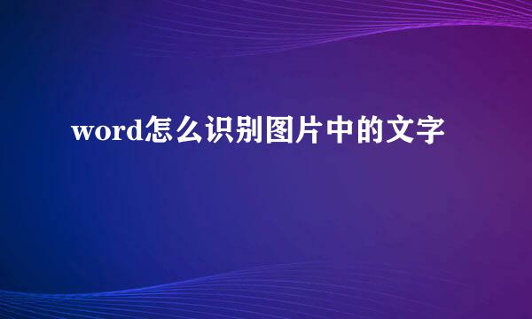 word怎么识别图片中的文字