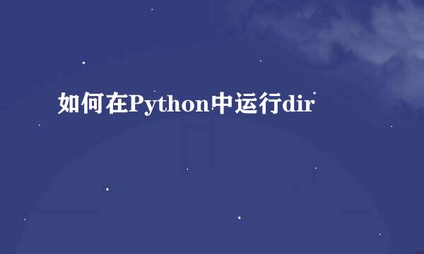 如何在Python中运行dir