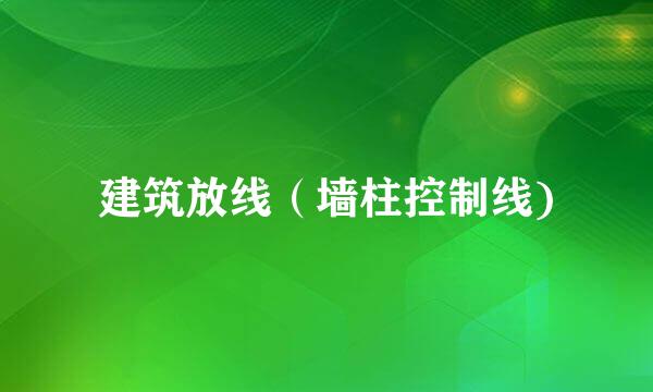 建筑放线（墙柱控制线)