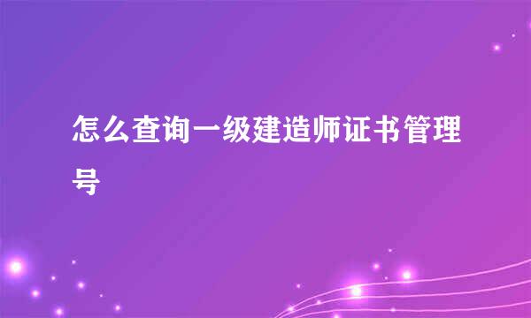 怎么查询一级建造师证书管理号