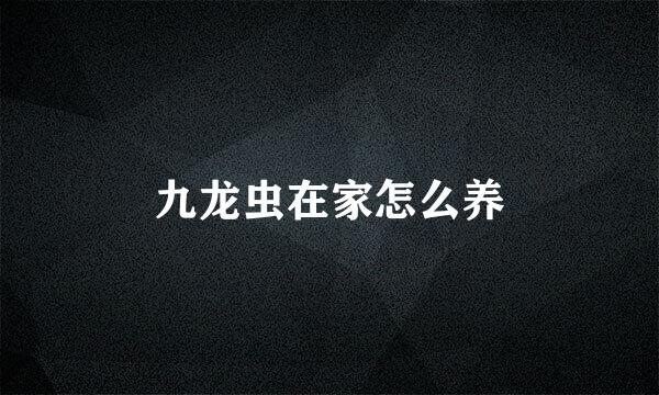 九龙虫在家怎么养