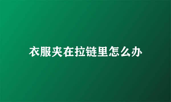 衣服夹在拉链里怎么办