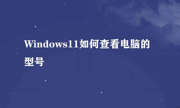 Windows11如何查看电脑的型号