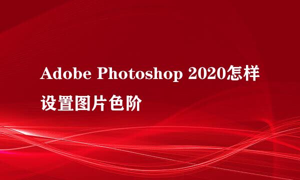Adobe Photoshop 2020怎样设置图片色阶