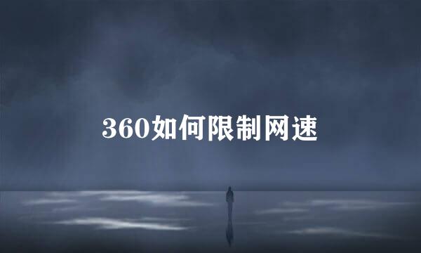 360如何限制网速