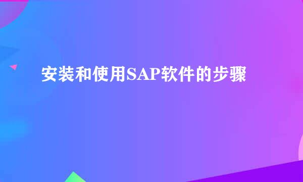 安装和使用SAP软件的步骤