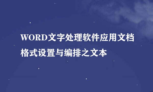 WORD文字处理软件应用文档格式设置与编排之文本