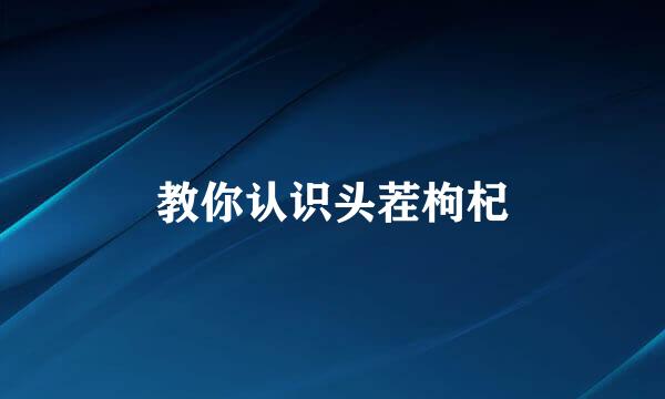 教你认识头茬枸杞