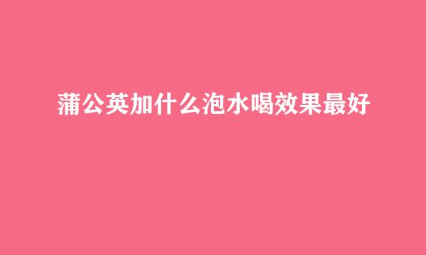 蒲公英加什么泡水喝效果最好