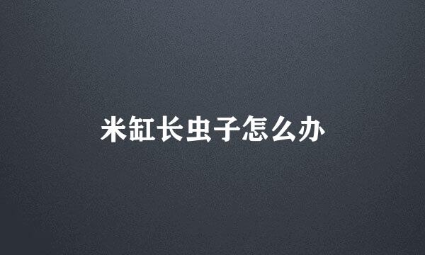 米缸长虫子怎么办