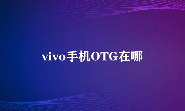 vivo手机OTG在哪