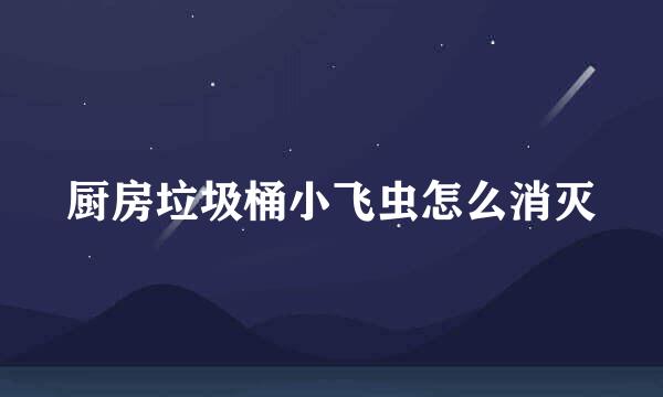 厨房垃圾桶小飞虫怎么消灭