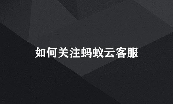 如何关注蚂蚁云客服