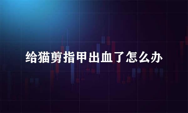 给猫剪指甲出血了怎么办