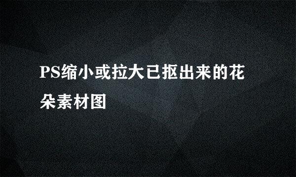 PS缩小或拉大已抠出来的花朵素材图