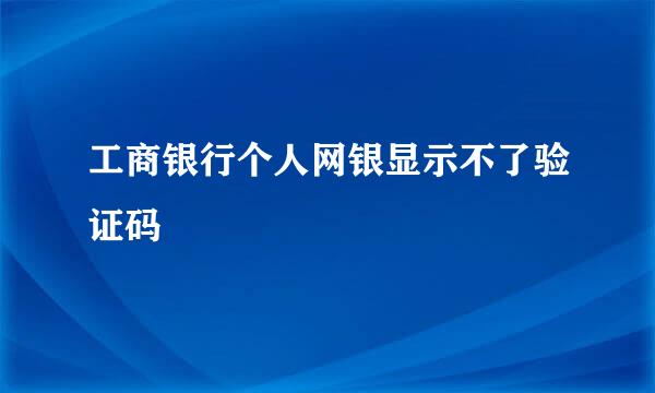 工商银行个人网银显示不了验证码
