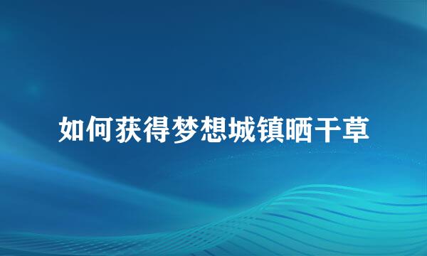 如何获得梦想城镇晒干草