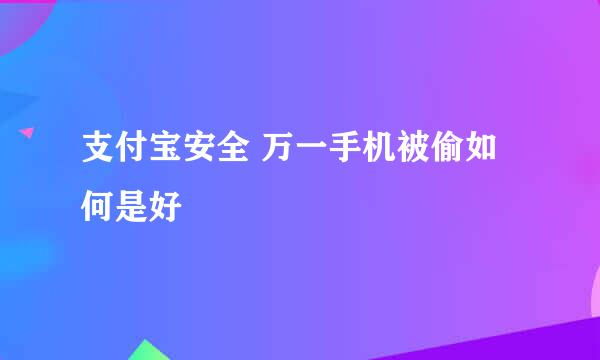 支付宝安全 万一手机被偷如何是好