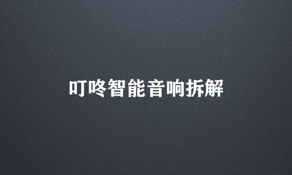 叮咚智能音响拆解