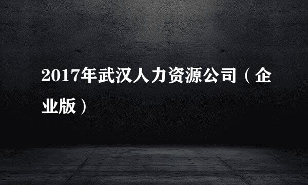 2017年武汉人力资源公司（企业版）
