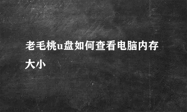 老毛桃u盘如何查看电脑内存大小