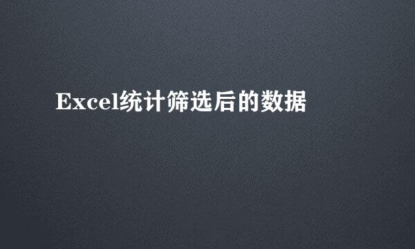 Excel统计筛选后的数据