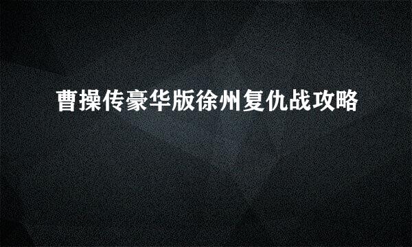 曹操传豪华版徐州复仇战攻略