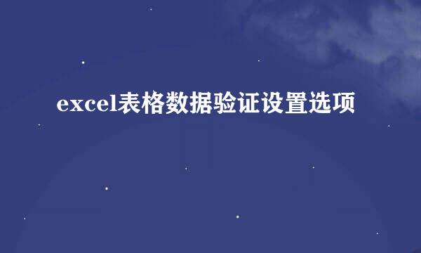 excel表格数据验证设置选项